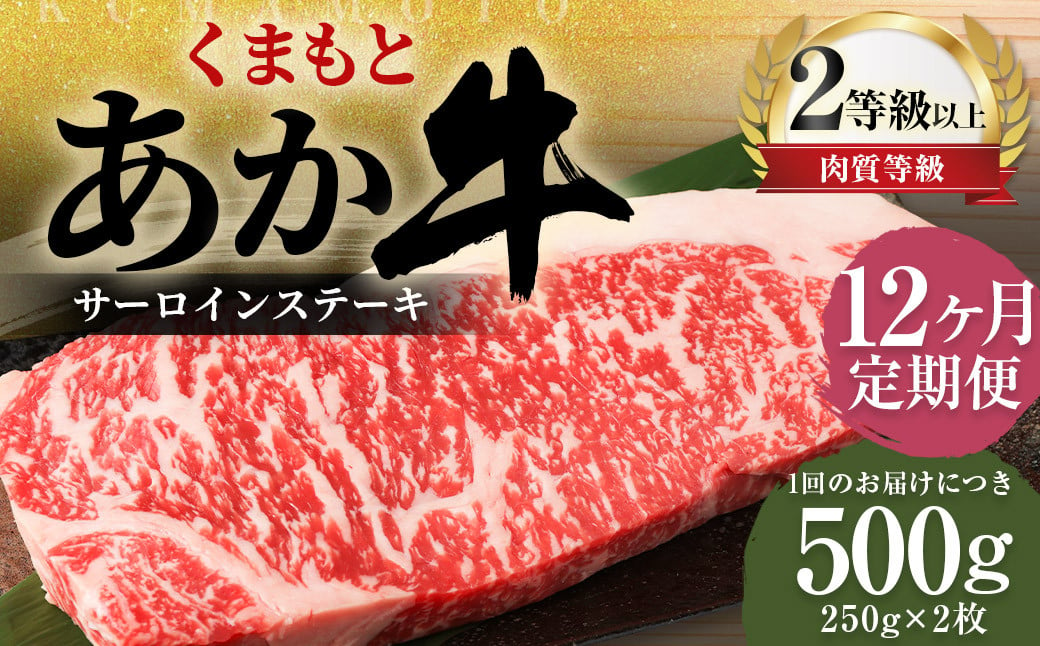 【12ヶ月定期便】くまもとあか牛サーロイン500g（250g×2枚）牛肉 牛 肉