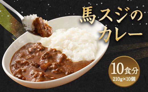 馬スジのカレー 10食 セット 210g×10 計2.1kg カレー