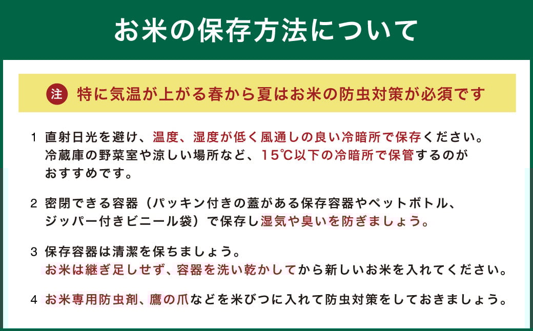 令和7年産 益城町 無洗米 森のくまさん 10kg お米 【2025年11月上旬より順次発送予定】