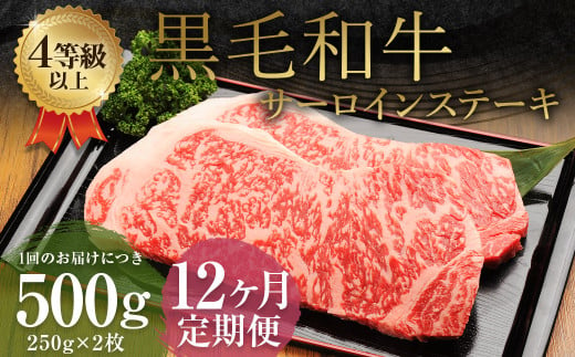 【12ヶ月定期便】くまもと黒毛和牛 サーロインステーキ 500g（250g×2枚） 牛肉 牛 肉