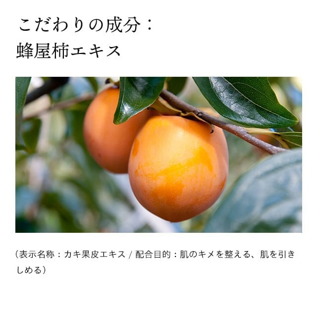 åæ¥é€šè£œè¬æ ãã¢ãã«ã³ãªã³ã¯ã« æŽé¡ ç³é¹ž 110g