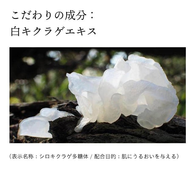 åæ¥é€šè£œè¬æ ãã¢ãã«ã³ãªã³ã¯ã« æŽé¡ ç³é¹ž 110g