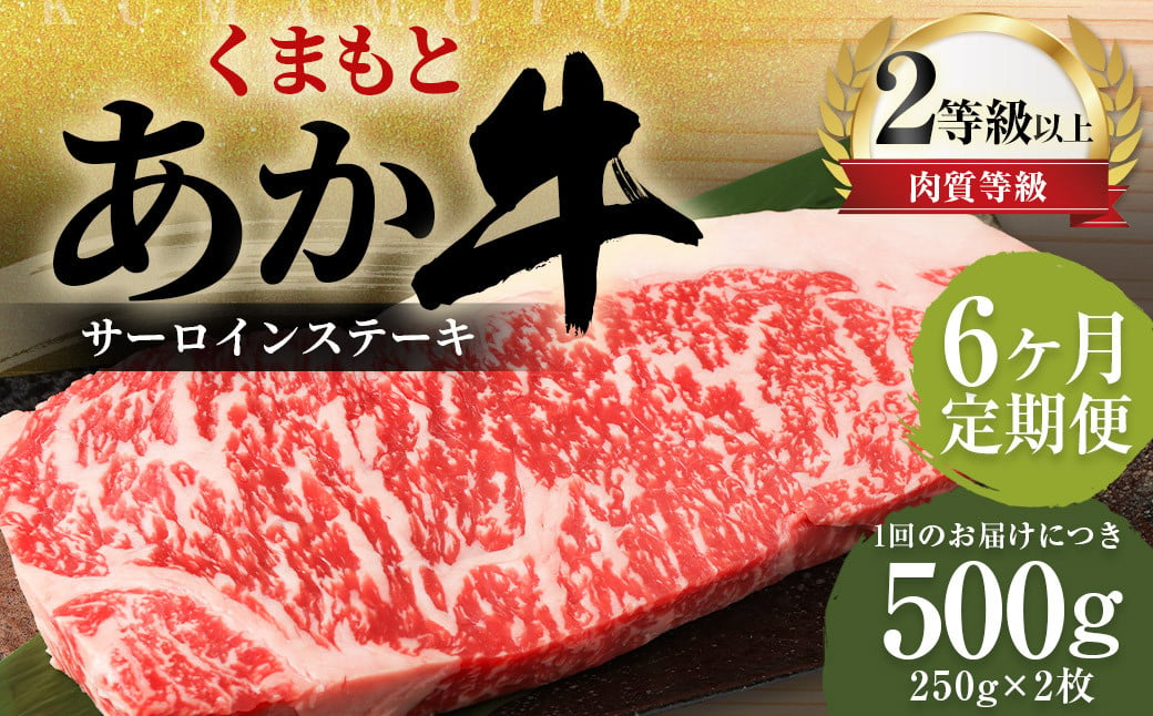 【6ヶ月定期便】くまもとあか牛サーロイン500g（250g×2枚）牛肉 牛 肉