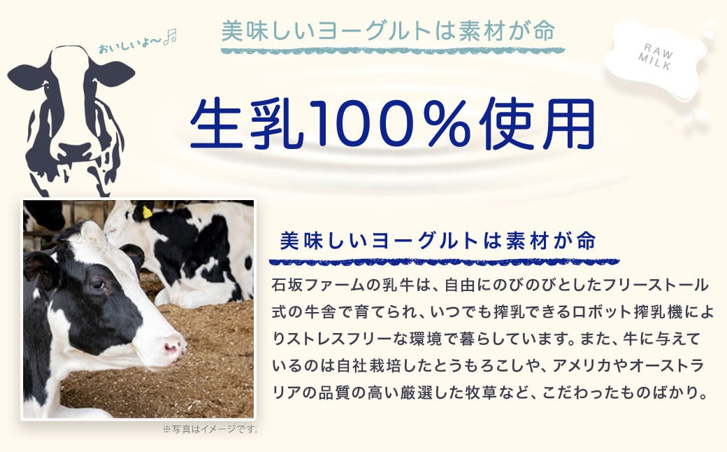 2種のヨーグルト セット THE ヨーグルト 各1kg 計2kg 生乳100% きび砂糖 食べ比べ 乳製品 乳酸菌