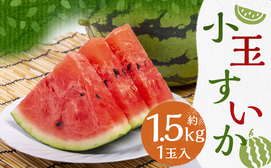 小玉すいか 1玉入り 3Lサイズ 約1.5kg 小玉スイカ 小玉 すいか スイカ 西瓜 フルーツ 果物 くだもの 常温 国産 熊本県 益城町 【2026年4月下旬～8月上旬発送予定】