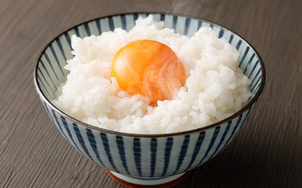 レンゲ米 にこまる 10kg 熊本県 益城町産 米 令和5年産 白米