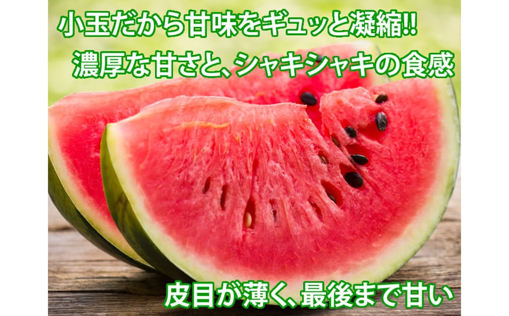 小玉すいか 秀品 2玉 約2～3kg 送料無料 スイカ すいか 益城町産 お取り寄せ お取り寄せグルメ 西瓜 フルーツ 【2025年5月下旬～7月下旬発送予定】