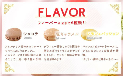 一流パティシエが認めるホテル使用品 お試し マカロン セット 12個（6種類×2個）冷凍 スイーツ デザート 洋菓子