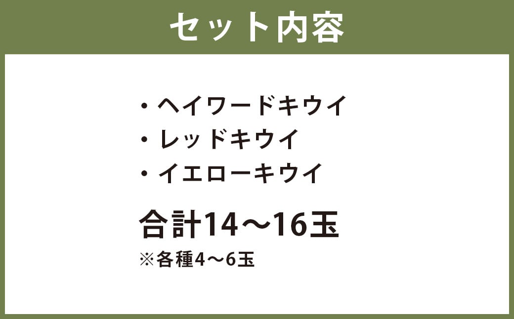 益城町産 特選 キウイ 3種 詰め合わせ 約1.8kg 14～16玉 （各種4玉～6玉） 【2024年11月下旬～2025年1月下旬順次発送予定】