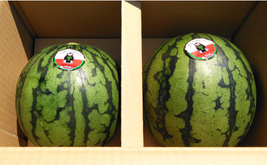 å°ç ããã 2ç å
¥ã 1ç1.5kg ä»¥äž è¥¿çã2026幎5æäžæ¬ïœ6æäžæ¬çºéäºå®ã