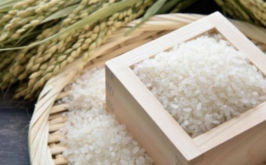 ã什å7幎ç£ã ã²ã®ã²ãã 10kgïŒã飯ã®åä»ãïŒç±³ çœç±³ çæ¬ç çåçºç£ ã2025幎10æäžæ¬ããé æ¬¡çºéäºå®ã