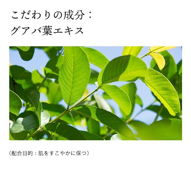 蜀肴丼鬢ィ陬ス阮ャ謇 繝峨Δ繝帙Ν繝ウ繝ェ繝ウ繧ッ繝ォ 豕。縺ョ譟碑l 繝代ャ繧ッ 80g
