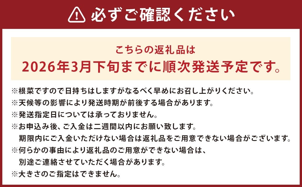 辭頑悽逵檎肇 邏縺ッ繧九° 邏5kg 縺ケ縺ォ縺ッ繧九° 縺輔▽縺セ縺繧 繧オ繝繝槭う繝「 縺輔▽縺セ闃 縺願葛 闃 縲2026蟷エ3譛井ク区流縺セ縺ァ逋コ騾∽コ亥ョ壹