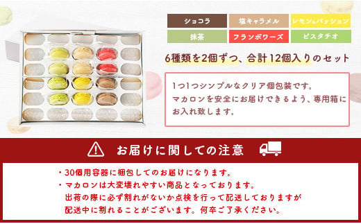 【2025年2月発送】 一流パティシエが認めるホテル使用品 お試し マカロン セット 12個（6種類×2個）冷凍 スイーツ デザート 洋菓子