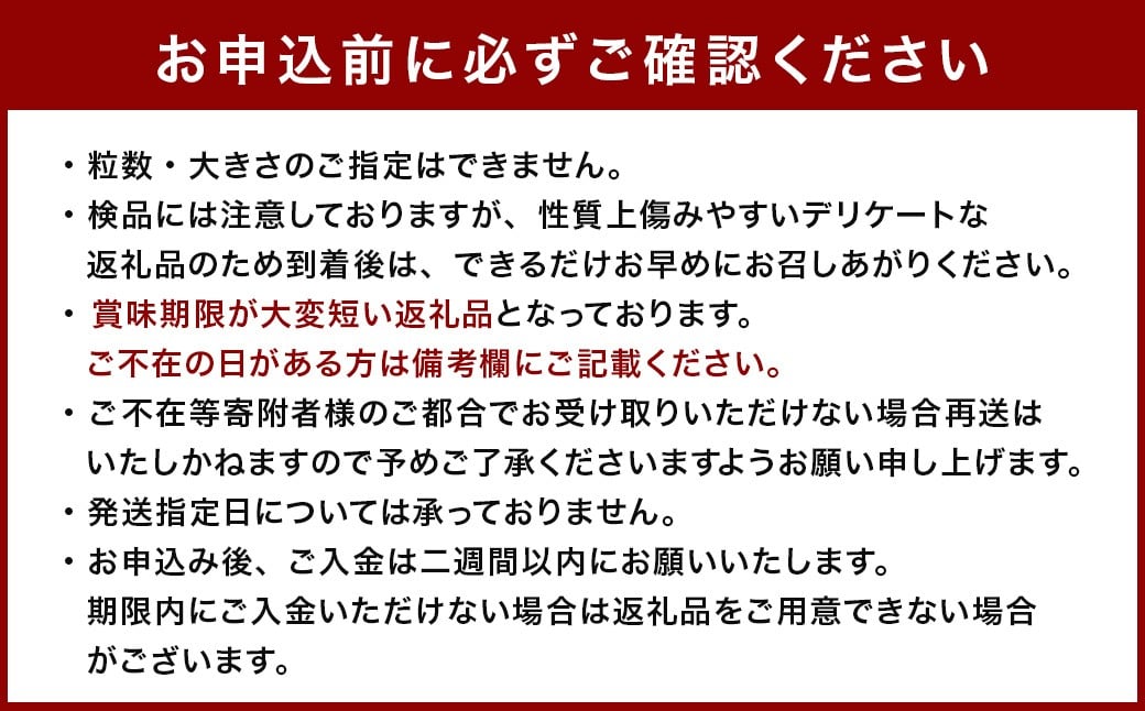 大玉すいか 2玉 L以上 約10kg 【2026年5月上旬～6月下旬発送予定】スイカ 西瓜 すいか 果物 フルーツ くだもの