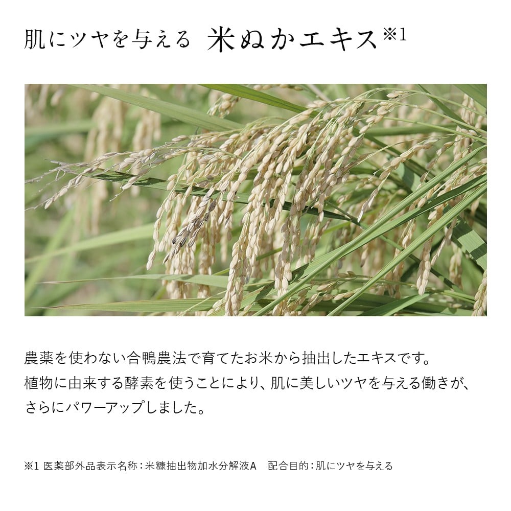 ドモホルンリンクル 美活肌エキス ［医薬部外品］ 30ml （販売名：ドモホルンリンクル 薬用美容液c） 再春館製薬所 約60日分 美容液 スキンケア フェイスケア