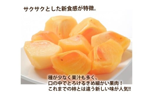 太秋柿 訳あり 約3kg（約8～14個） ブランド柿 柿 かき たいしゅうかき 甘柿 フルーツ スイーツ くだもの 果物 果実 秋 旬 益城町産 【2026年10月下旬から11月下旬発送予定】