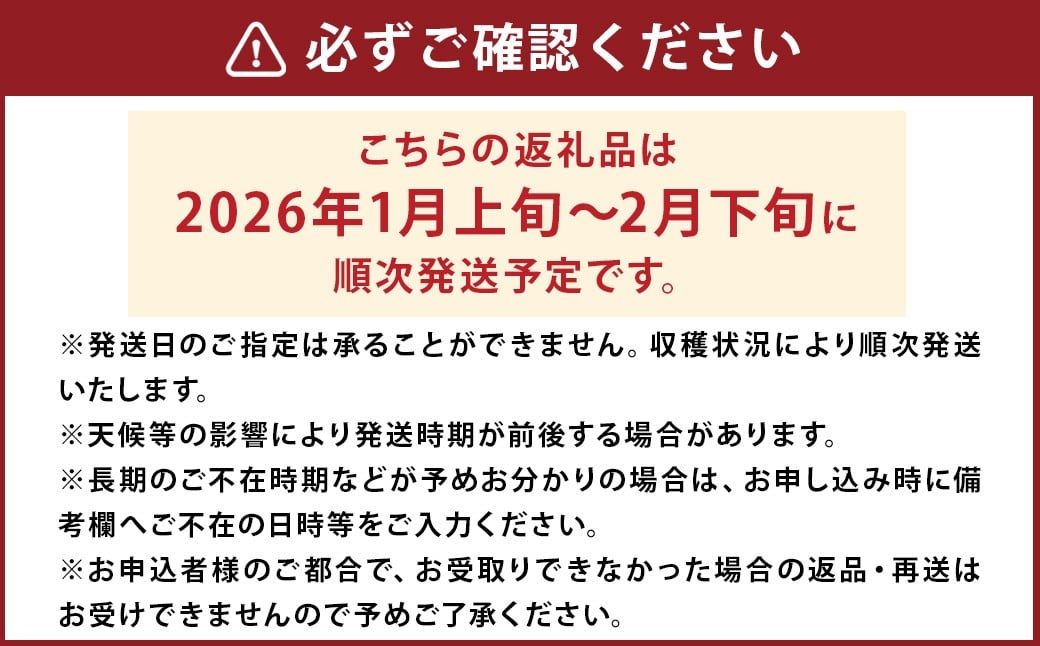 益城産 いちご 500g×1パック 贈答箱入り 【2026年1月上旬より順次発送】