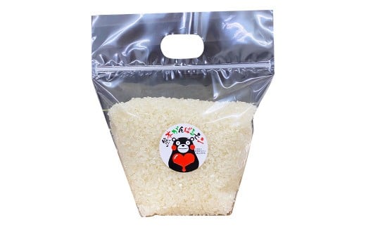 【数量限定】朝堀り 筍 2kg 熊本県産米(約500g)付き【2026年3月上旬～4月下旬迄発送予定】