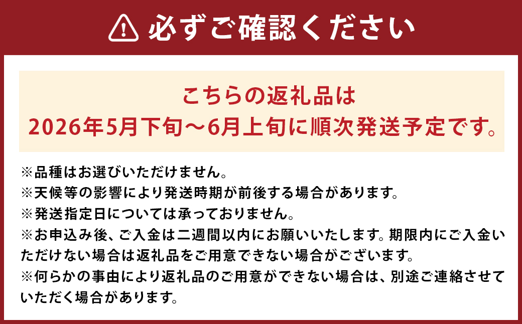 小玉 すいか 2玉 入り 1玉1.5kg 以上 西瓜【2026年5月下旬～6月上旬発送予定】