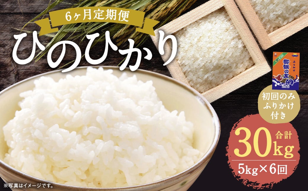 【6回定期便】ひのひかり 5kg (初回 ご飯の友 付き) 計30kg 熊本 米 ふりかけ 御飯の友