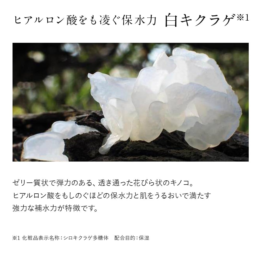 繝峨Δ繝帙Ν繝ウ繝ェ繝ウ繧ッ繝ォ 菫晄ケソ豸イ 120mL 蜀肴丼鬢ィ陬ス阮ャ謇 邏60譌・蛻 菫晄ケソ 繧ケ繧ュ繝ウ繧ア繧「 繝輔ぉ繧、繧ケ繧ア繧「