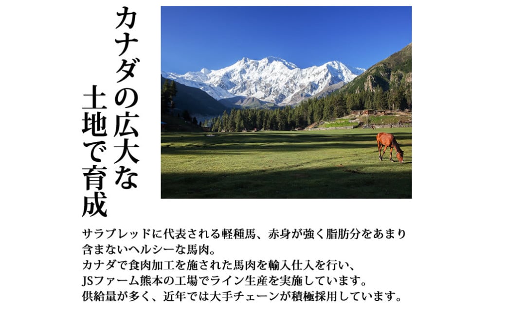 馬刺しユッケ 3人前 約150g（約50g×3パック） 熊本直送 馬肉 肉 赤身 冷凍 益城町