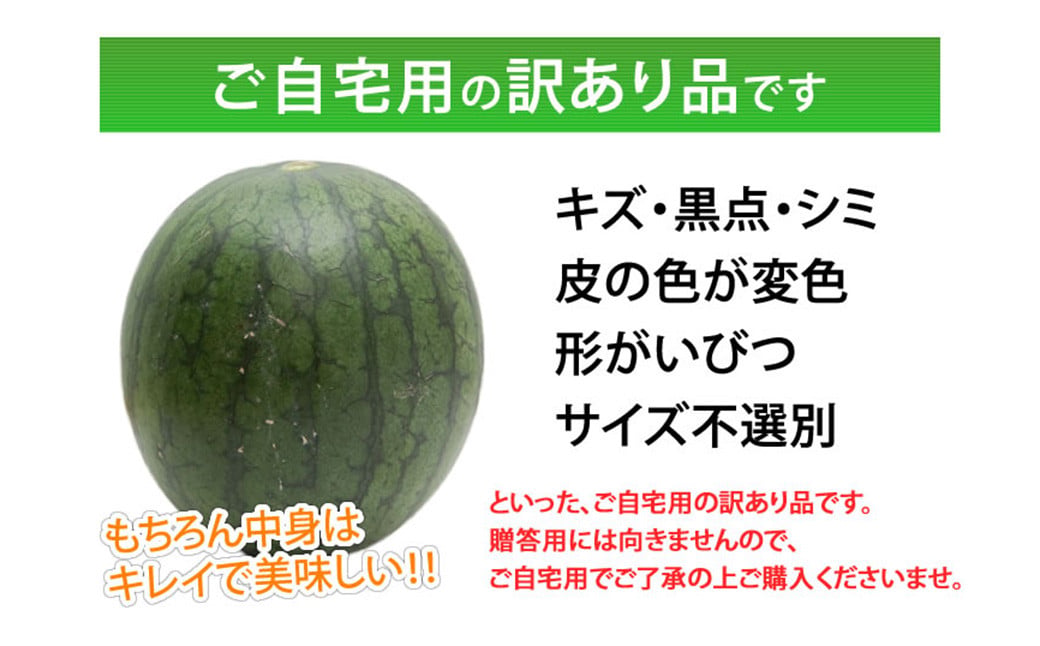 訳あり 大玉すいか 1玉 約6kg〜9kg 送料無料 スイカ すいか 益城町産 お取り寄せ お取り寄せグルメ 西瓜 フルーツ 【2026年5月下旬～7月下旬発送予定】