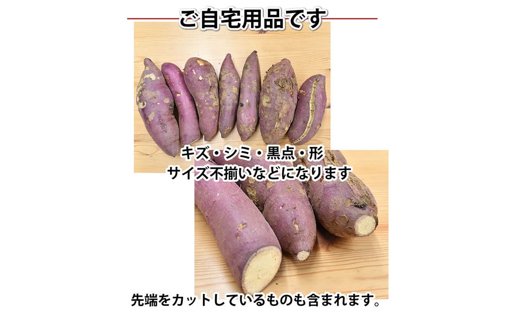 訳あり 紅はるか 約10kg