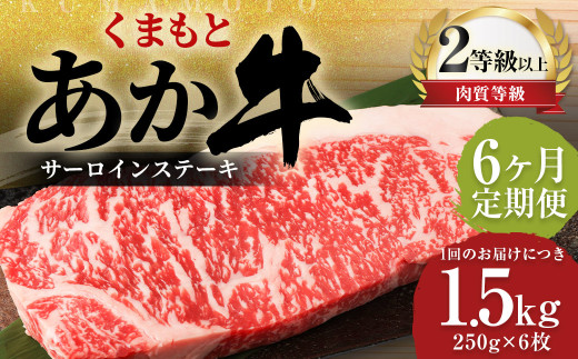 【6ヶ月定期便】 くまもと あか牛 サーロイン 1.5kg（250g×6枚） 牛肉 牛 肉