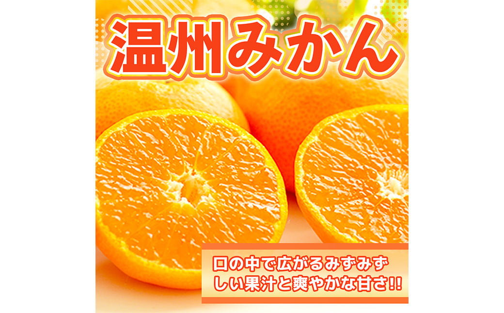 温州みかん 約2.5kg 2S～2L みかん 果物 くだもの 旬 益城町産【2024年12月上旬まで発送予定】