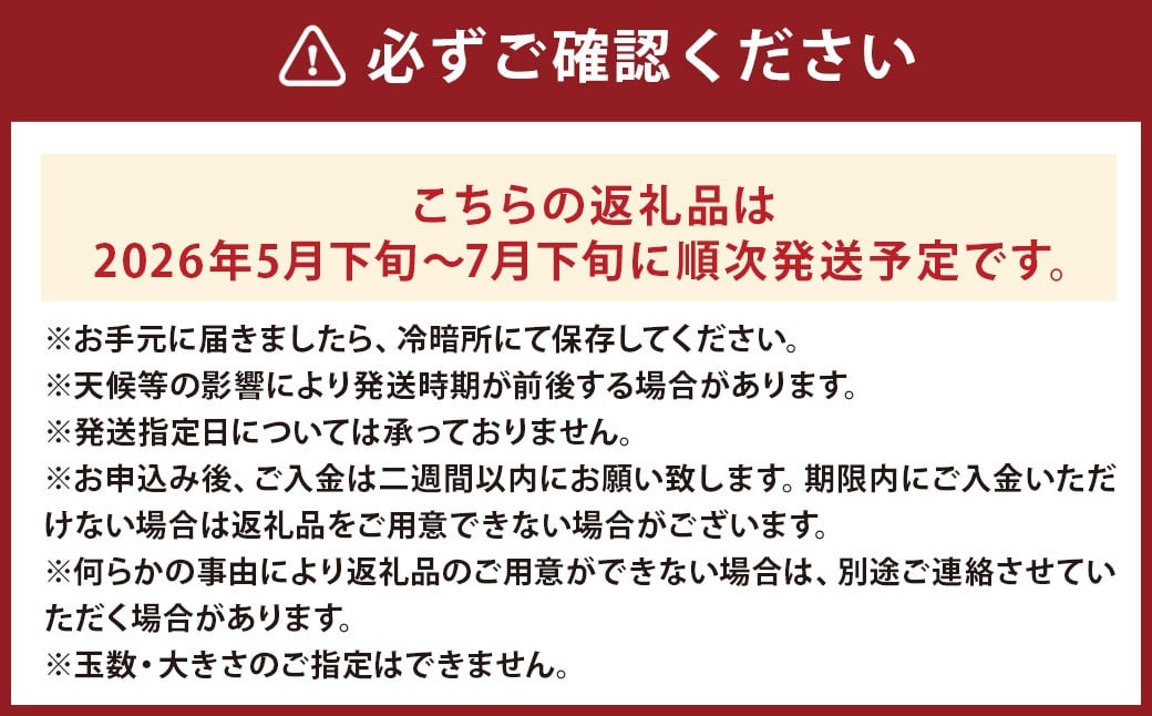 小玉すいか 秀品 2玉 約2～3kg 送料無料 スイカ すいか 益城町産 お取り寄せ お取り寄せグルメ 西瓜 フルーツ 【2026年5月下旬～7月下旬発送予定】