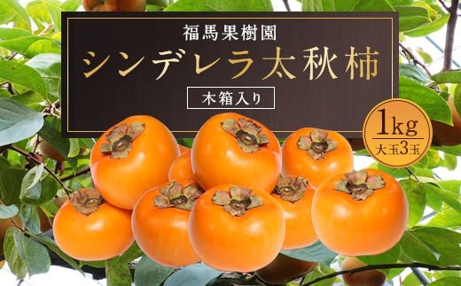 シンデレラ 太秋柿 木箱入り 大玉 3玉 約1kg 【2025年11月上旬〜12月下旬発送予定】