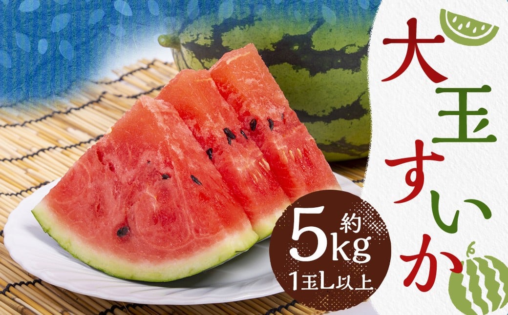 大玉 すいか 1玉 L以上 約5kg【2026年5月上旬～6月下旬発送予定】