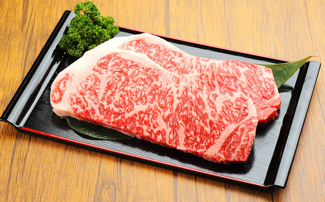 【3ヶ月定期便】くまもと黒毛和牛 サーロインステーキ 500g（250g×2枚） 牛肉 牛 肉