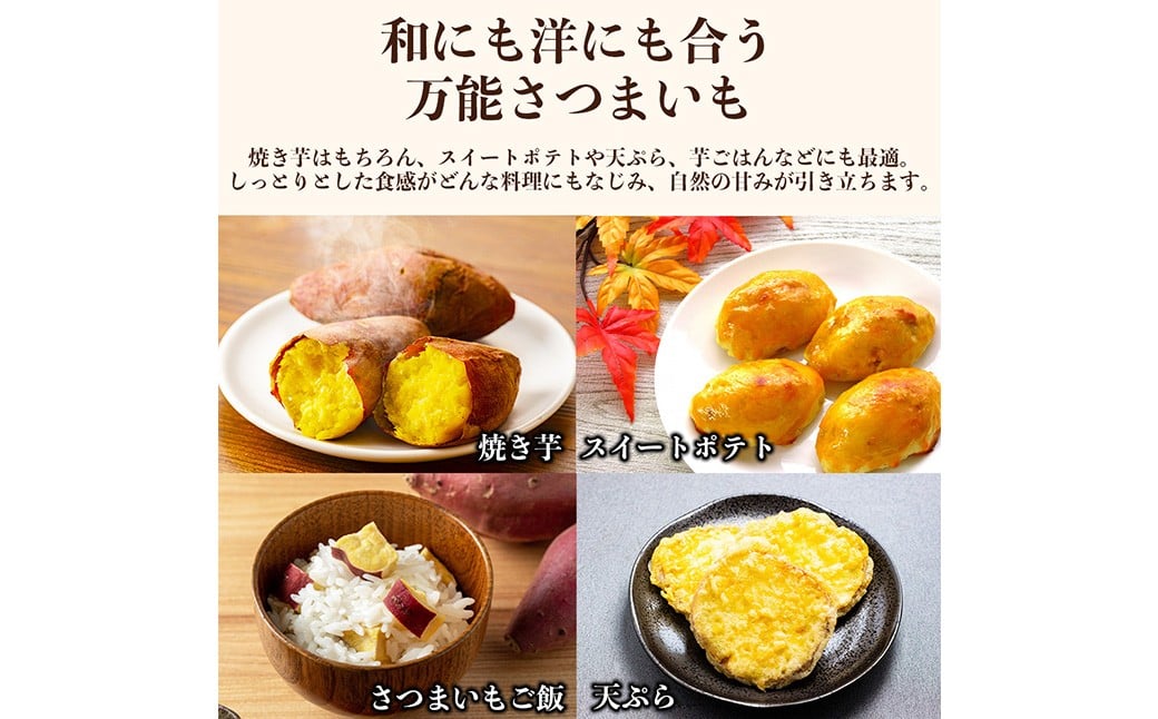 シルクスイート さつまいも 約5kg  サツマイモ さつまいも 芋 イモ 焼き芋 スイートポテト お菓子作り スイーツ作り スイーツ 5kg 【2026年11月上旬～12月下旬発送予定】