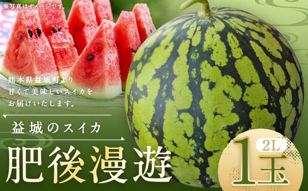 熊本県 益城町 スイカ 肥後漫遊 2L 1玉  約7kg 【2026年4月下旬～6月下旬迄発送予定】