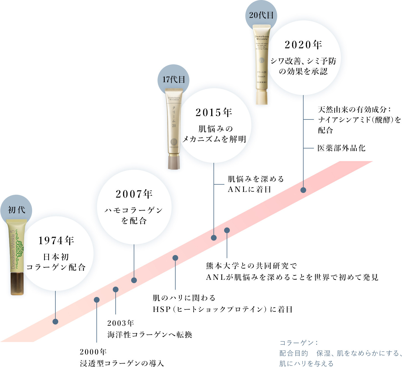 再春館製薬所 ドモホルンリンクル 薬用 ペア セット