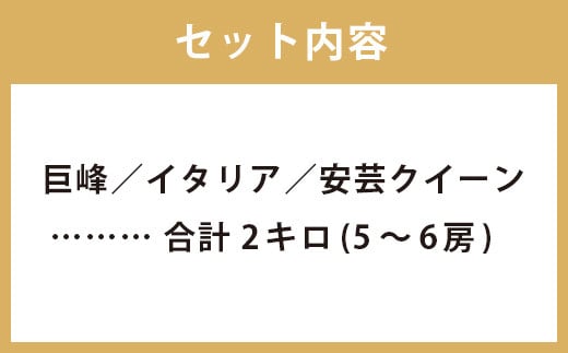 ぶどう 3種 詰め合わせ 合計約2kg 5～6房 巨峰 イタリア 安芸クイーン 【2024年8月下旬から9月下旬順次発送予定】