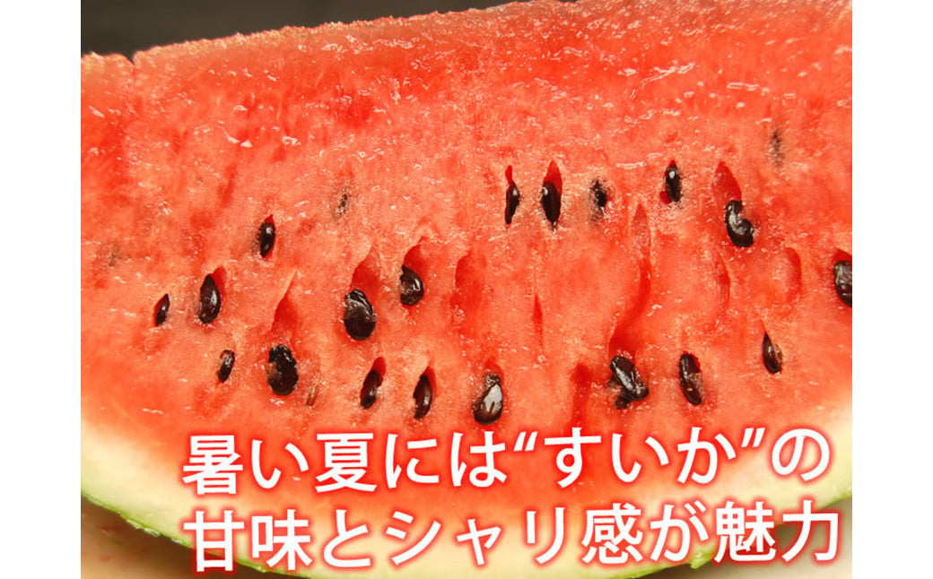 訳あり 大玉すいか 1玉 約6kg〜9kg 送料無料 スイカ すいか 益城町産 お取り寄せ お取り寄せグルメ 西瓜 フルーツ 【2026年5月下旬～7月下旬発送予定】