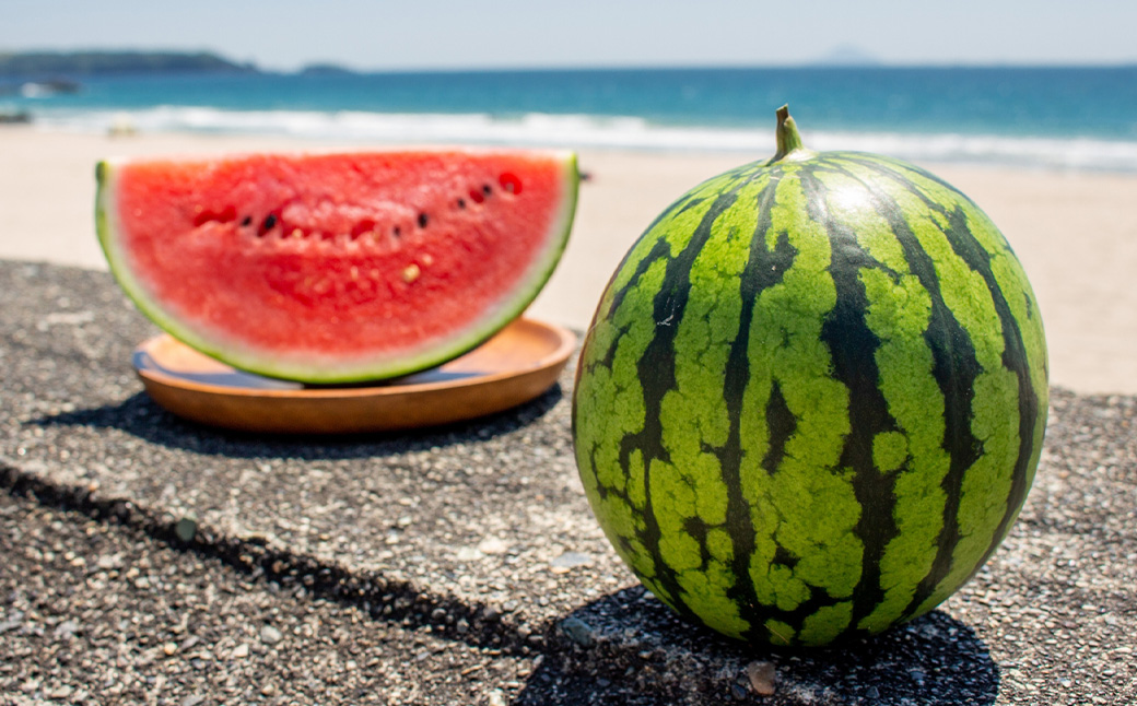 å°çããã 1çå
¥ã 3Lãµã€ãº çŽ1.5kg å°çã¹ã€ã« å°ç ããã ã¹ã€ã« 西ç ãã«ãŒã æç© ãã ãã® åžžæž© åœç£ çæ¬ç çåçº ã2026幎4æäžæ¬ïœ8æäžæ¬çºéäºå®ã