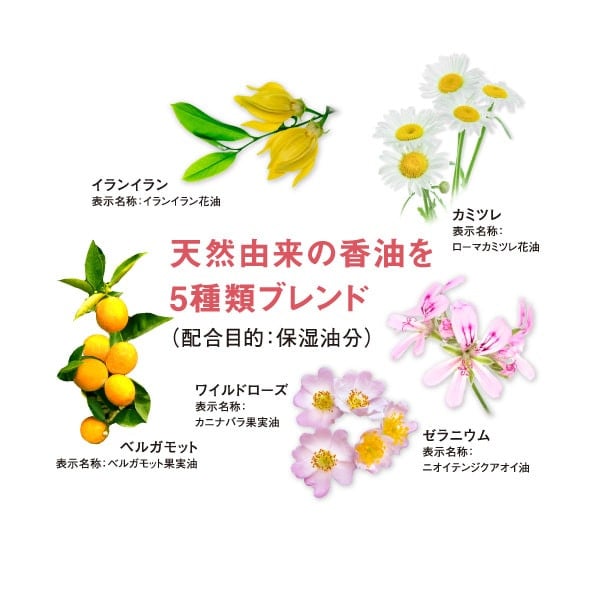 ドモホルンリンクル 贅沢洗顔セット 化粧落としジェル（110g） 洗顔石鹸（110g） 再春館製薬所 ドモホルンリンクル メイク落とし クレンジング オイル 保湿 洗顔フォーム 濃密泡 スキンケア 毛穴 黒ずみ