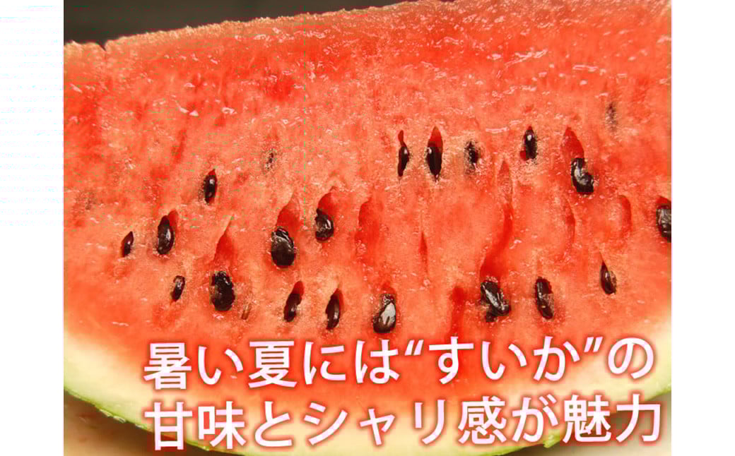 訳あり 小玉すいか 2玉 約2～3kg 送料無料 熊本すいか すいか 西瓜 ひとりじめ 果物 フルーツ 【2026年5月下旬～7月下旬発送予定】