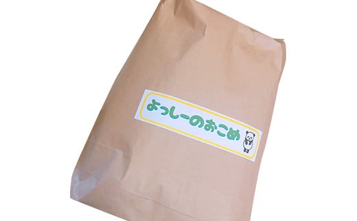 令和6年度産 熊本 益城町産 ヒノヒカリ 10kg お米