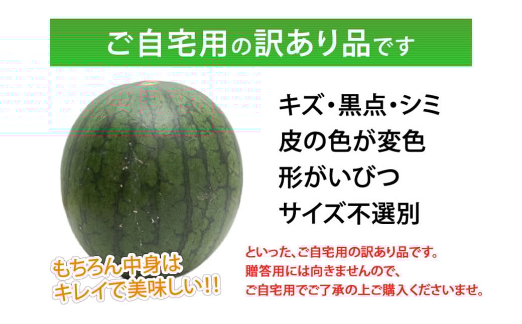訳あり 小玉すいか 2玉 約2～3kg 送料無料 熊本すいか すいか 西瓜 ひとりじめ 果物 フルーツ 【2026年5月下旬～7月下旬発送予定】