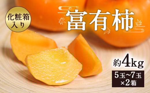 富有柿 合計約4kg 1箱5〜7玉×2箱 化粧箱 付き 柿 太秋柿 【2025年11月上旬〜12月下旬発送予定】