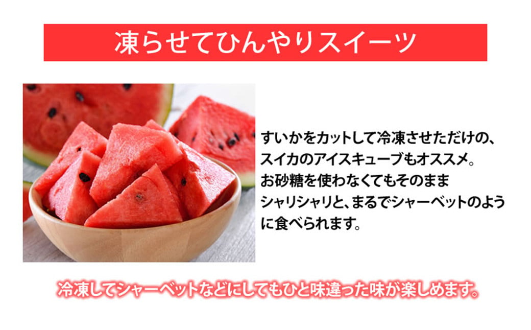 訳あり 大玉すいか 1玉 約6kg〜9kg 送料無料 スイカ すいか 益城町産 お取り寄せ お取り寄せグルメ 西瓜 フルーツ 【2026年5月下旬～7月下旬発送予定】