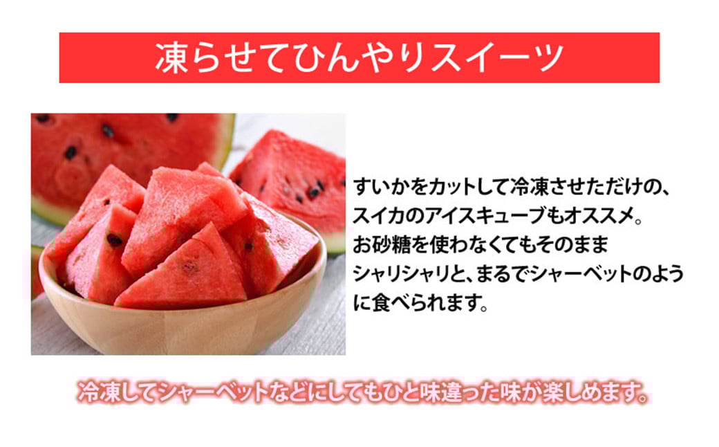 訳あり 小玉すいか 2玉 約2～3kg 送料無料 熊本すいか すいか 西瓜 ひとりじめ 果物 フルーツ 【2026年5月下旬～7月下旬発送予定】