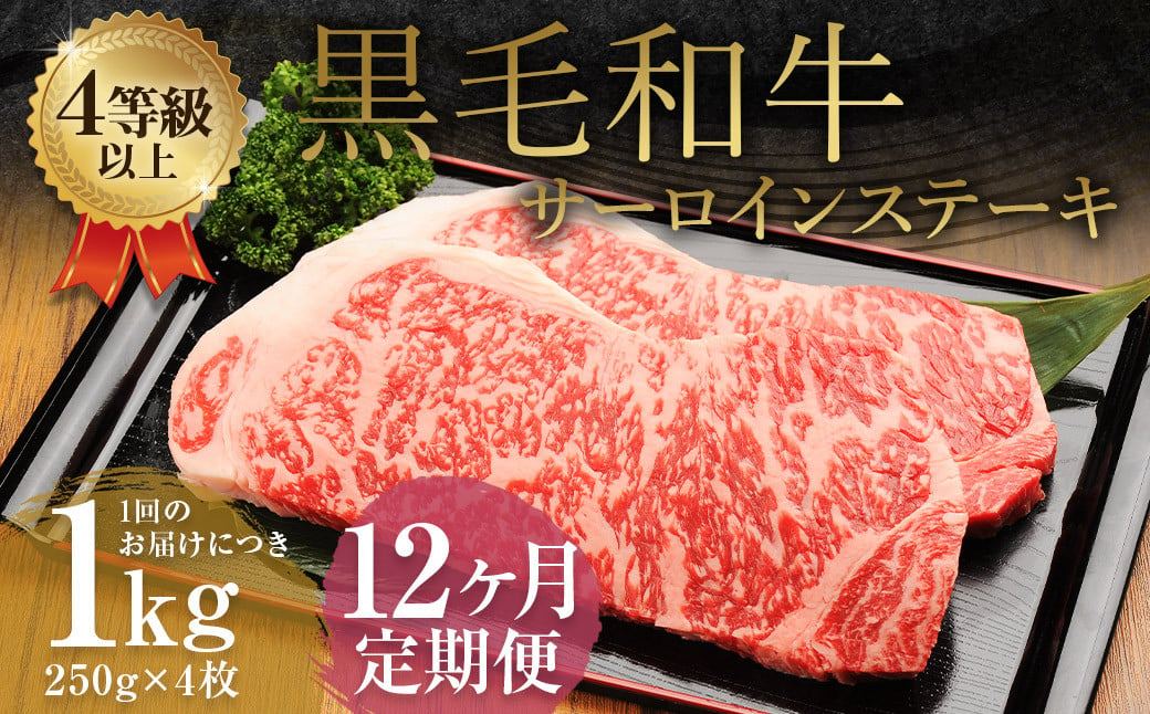 【12ヶ月定期便】くまもと黒毛和牛サーロインステーキ 1.0kg（250g×4枚）牛肉 牛 肉