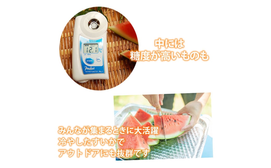 訳あり 大玉すいか 1玉 約6kg〜9kg 送料無料 スイカ すいか 益城町産 お取り寄せ お取り寄せグルメ 西瓜 フルーツ 【2026年5月下旬～7月下旬発送予定】